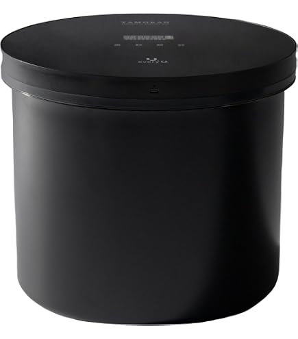 Amazon.co.jp: HAGOOGI(ハゴオギ) 真空容器 20L大容量 真空保存容器