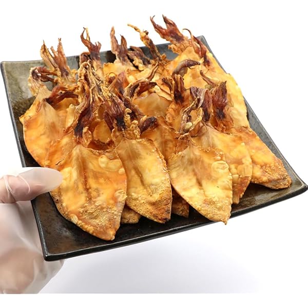 スルメ・イカ様 maedaya_kawasakiika-