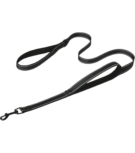 Amazon | 神戸工房 トロットリード ボーダー 青 | 神戸工房 | リード 通販