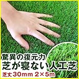 Liebe【リーベ】 人工芝 芝丈30mm 2m×5m 10平米 V字 復帰型 『パークシア・プレミアム』