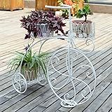 DGF アイアンアートフラワーラック、バイクスタイルの床フラワーポットラック、屋外の屋内バルコニー居間のディスプレイスタンド、L77cm * W27cm * H55cm（3色オプション） ( 色 : 