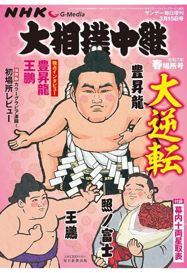 大相撲 2025 ポスター　10枚 大相撲2025 | Trading Card Journal