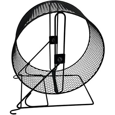 Amazon.co.jp 売れ筋ランキング: 小動物用回し車 の中で最も人気のある