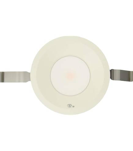 Amazon.co.jp: 大光電機（DAIKO） ダウンライト(軒下兼用) LED