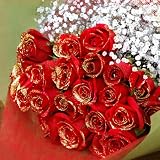 赤薔薇 レッドローズ 赤バラ 赤いばら ゴールドラメ付き20本とキラキラ白いかすみ草の花束 クリスマス、お誕生日、お祝いにお届け