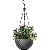 Hanging Basket Planters Plastic Hanging Baskets Flower Pot Plant Holder Hanging Planters Baskets Plants Pot Container with Ch