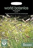 WB 英国ジョンソンズシード Johnsons Seeds world botanics collection Bouteloua gracilis ボウテロウア（メダカソウ）・グラシリス