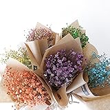 【Blooming＆me】フラワーデザイナーおすすめ！ ドライフラワー かすみ草 ミニ花束 【選べるカラー全6色】 (ピンク)