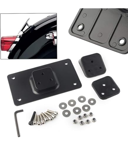 完全日本仕様 カーブド レイダウン ナンバーステーハーレー