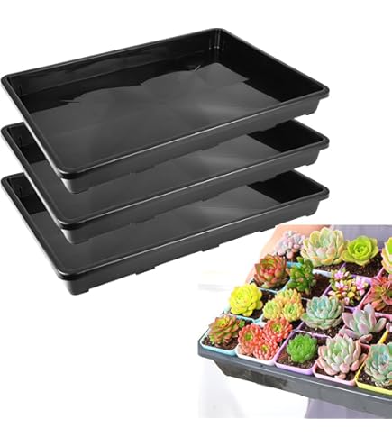 盆栽鉢 Amazon | 大和プラスチック 鉢・プランター 盆栽皿DX 13号 410×300×H20