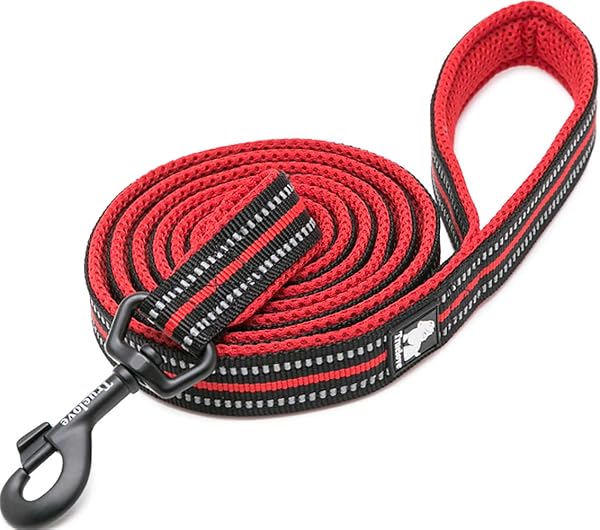 J&C Paradise Classic Dog Leash, Easy to Hold, Training, Long, 3M Reflective Material, Nylon, Breathable, Stylish, Popular, Does Not Hurt, Mesh, Truelove, Red, 3.6 Feet (1.1 m), M - 1