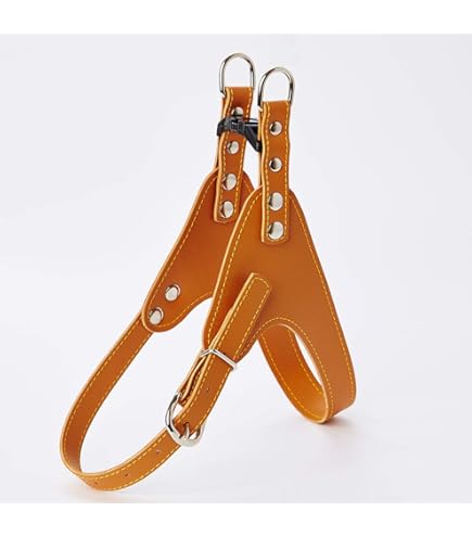 Amazon.co.jp: Porta ソフトレザーリード M キャメル : ペット用品