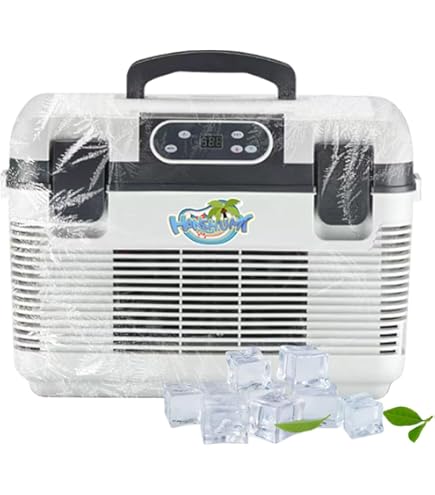 Amazon.co.jp: HANSHUMY 12L冷蔵庫 -2℃～60℃ 2つの冷却システム 冷温庫