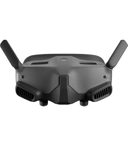 DJI V2 FPVゴーグルセット DJI FPV Goggles V2