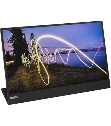 Amazon.co.jp: Lenovo ThinkVision M14 14