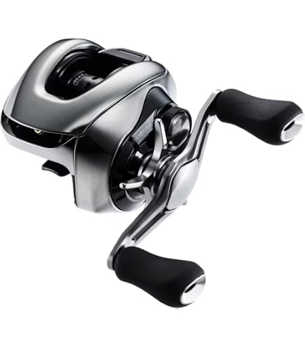 Amazon.co.jp: Daiwa STEEZ AII TW 1000 Bait Reel 2022 Model