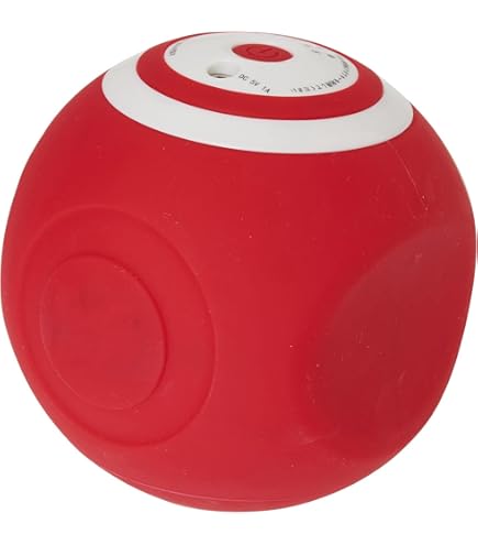 スタイリーボール ボディケア 筋トレ ストレッチサポートカバー付 (レッド) スタイリーボール|ルネサンス公式通販