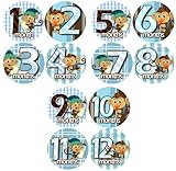 BLUE BABY MONKEYS Baby Month Onesie Stickers Baby Shower Gift Photo Shower Stickers, baby shower gif