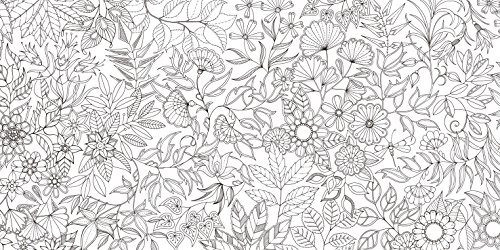 最高かつ最も包括的なひみつ の 花園 花 いっぱい の ぬりえ ブック 最高の花の画像