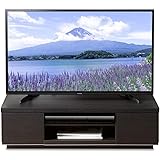 【26-43型推奨】 アイリスオーヤマ テレビ台 テレビボード ローボード 幅100cm 奥行38.8cm 高さ28.2cm 24型 26型 32型 ブラック 扉付 組み立て 耐荷重40kg BAB-100