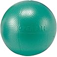 Gymnic ダンノ(DANNO) バランスボール ソフトギムニク グリーン 直径23cm D5453