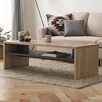 61SiuGWgJ0L._AC_UL210_SR210,