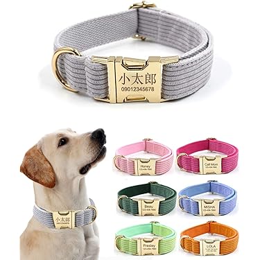 Amazon.co.jp 人気ギフトランキング: 犬用首輪・ハーネス・リード で