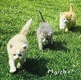 �܂邲��!�}�[�`