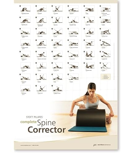 Amazon.co.jp: STOTT PILATES Wall Chart - Complete Stability Chair