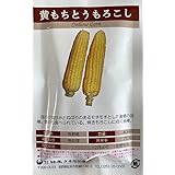 日本タネセンター 黄もちとうもろこし