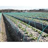 渡辺泰 ダンポール P 太さ8.5mm×長さ2100mm