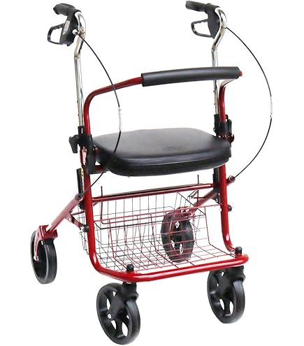 Amazon | 竹虎 【歩行車】 ハッピーIINB オレンジメタリック | 竹虎