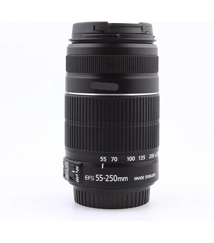 Canon EF 300mm f/4 L IS USM 単焦点望遠レンズ キヤノン EF300mm F4L IS USM 望遠レンズ
