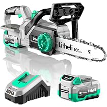 Litheli 20V Cordless Battery Chain saw 