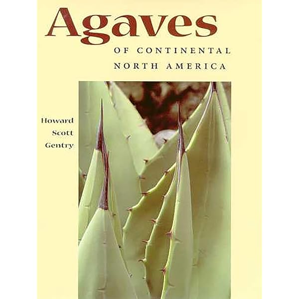 Amazon.co.jp: Agaves: Living Sculptures for Landscapes and