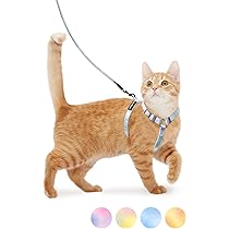 猫込りん‎^⁔ ܸ. ̫ .⁔^︎ Amazon | (シリーズ累計2万個突破) Petiam 猫 ハーネス リード