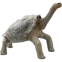 リクガメ ゾウガメ  置物 61SsWlzWeOL._AC_UL210_SR210,