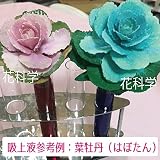プリザーブドフラワー吸上げ液　【葉物（リーフ）・小花専用】　SF-M液 200ml (紫)