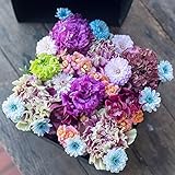 【 クール便 】 アレンジメントフラワー ギフト BOX フラワー (シック) 生花