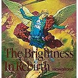The Brightness In Rebirth