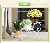 Chen ZhiShan 観葉植物 フラワー スタンド 花台 階段状 プランター (3層-ホワイト)