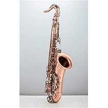 61Sv1Cv3B3L._AC_UL210_SR210,