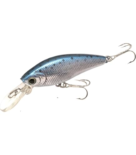 Amazon | ラッキークラフト (LUCKY CRAFT) ビーフリーズ 78LB WT-S