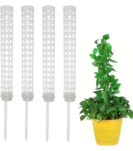 Amazon | Tsukitoy モスポール 支柱 セット観葉植物園芸支柱誘引