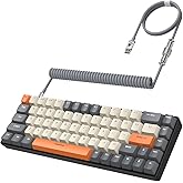 ZIYOU LANG RK-T8 Wired 65% Mechanical Gaming Keyboard with RGB LED Backlit Anti-ghosting TKL Mini 68 Key Custom Coiled C to A