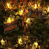 YINUO T2C LED Photo Clip String Lights by USB Operated 10 Photo Clips lights 2.5m/8.2ft Warm White P