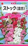 【種子】ストック（混合） 花　トーホクのタネ