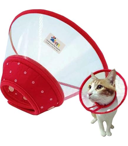 Amazon | 3枚入 調節可能 猫用エリザベスカラー ボタン式 回復首輪