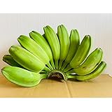 MDSTORE フィリピン産サバ バナナ6~8個/キロ・Philippine Saba banana 6~8pcs/kg (1キロ)