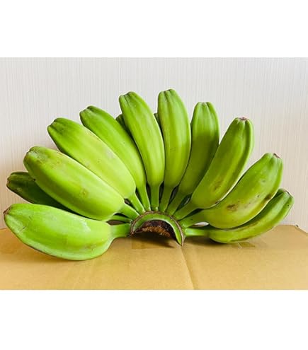 Amazon.co.jp: MDSTORE ベトナム産ヒカマ・Vietnam Fresh Jikama・Cu